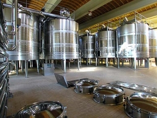 Sala de fermentacion
